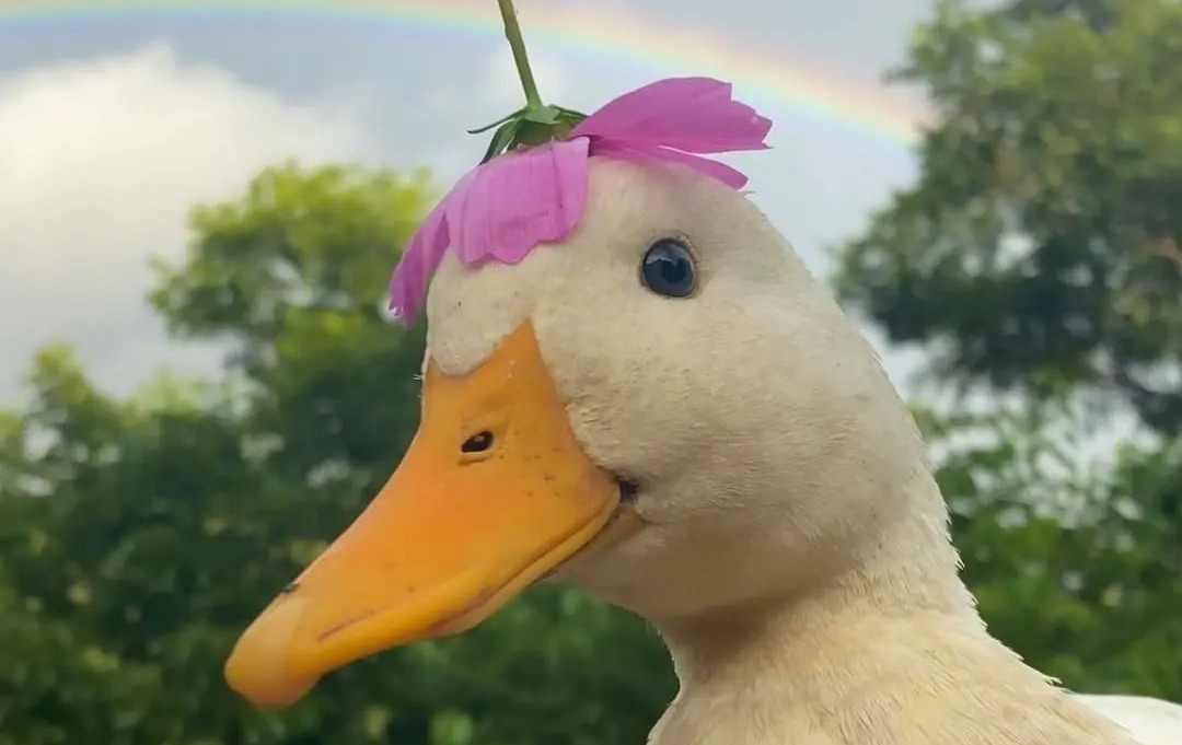 Tämä on testilyhkäri 2 - *prööt*